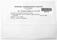 Image Associated With the Occurence